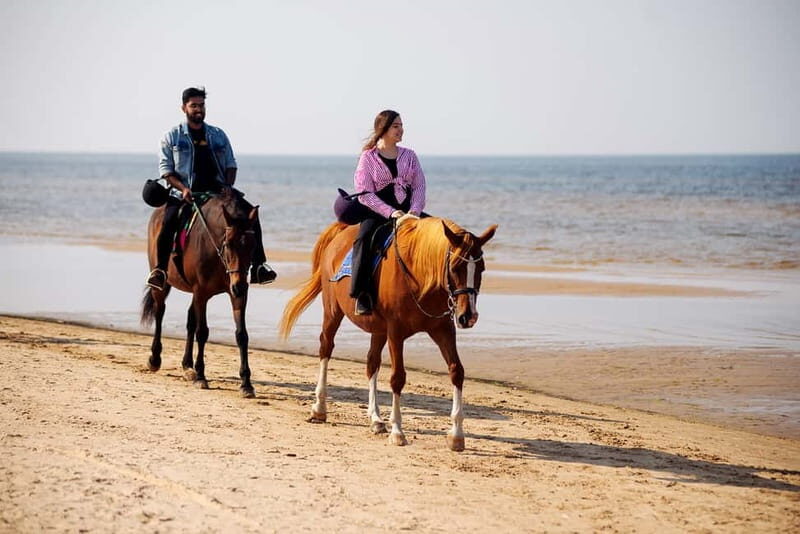 Riga Horse Riding tour along the Beach - Who Will Love This Tour?  