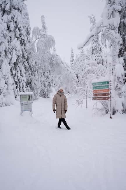 Riisitunturi National Park Private Photoshoot & Hiking - Practical Details: What You Need to Know