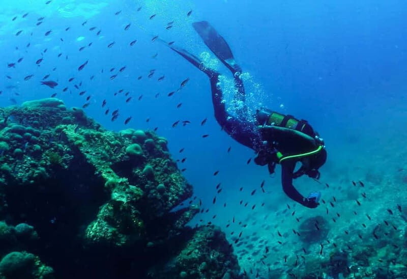 Rijeka Croatia: Discover with us the wonderful sea of Croatia! - A Closer Look at the Rijeka Snorkeling Tour