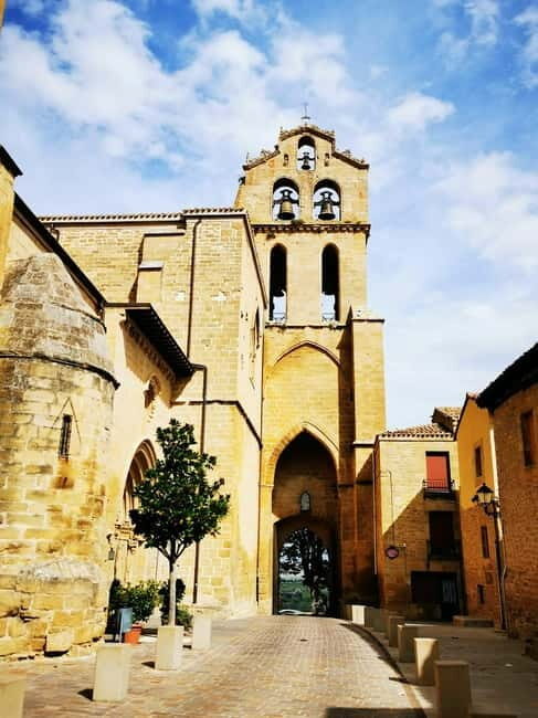 Rioja: Wine Tour with a Local Expert with Tastings - Who Will Love This Tour?