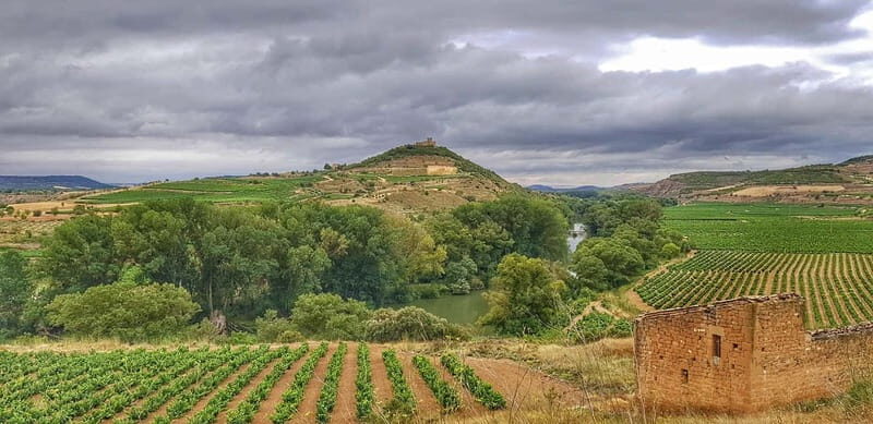 RIOJA: WINE TOUR WITH A WINERY OWNER - The First Winery: A Historical Gem