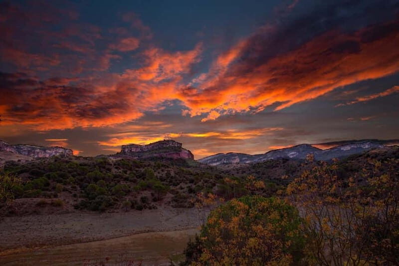 Romantic Tour, Wines and Picnic in Siurana and Priorat from Barcelona - Who Should Consider This Tour?