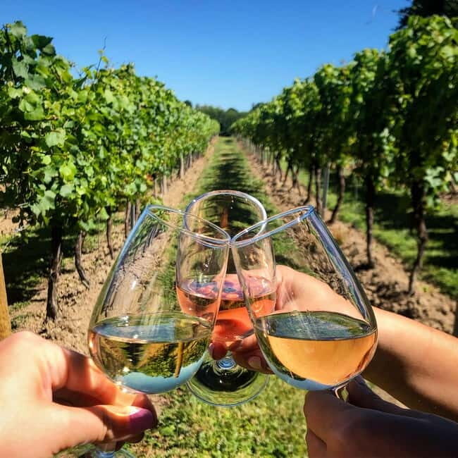 Rome Countryside: Wine Tasting Tour with Private Driver - Why This Tour Is Worth It