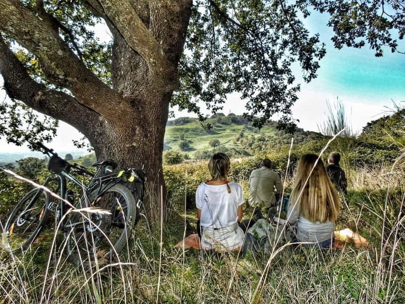 Rome: Frascati Vineyard Bike Tour with Wine Tasting - Visiting the Historic Vineyard