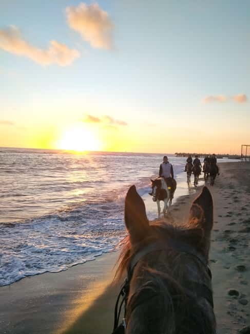 Rome on Horseback : Ancient Ostia & the beach with Aperitif - What the Reviews Say