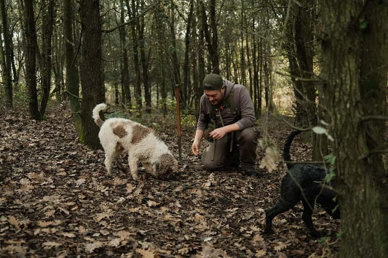 ROME: Truffle Hunting and Lunch with Truffle Dishes - What Youll Discover