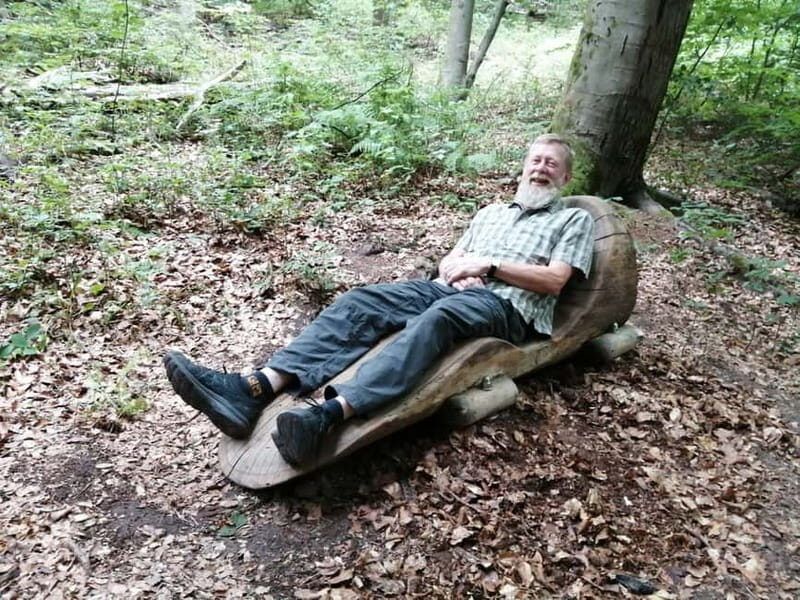 Rotenburg an der Fulda: Forest bathing with a certified guide - The Value and Practicalities