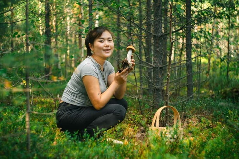 Rovaniemi: Arctic Wild Berry & Mushroom Foraging and Tasting - Why This Tour Matters for Your Rovaniemi Visit