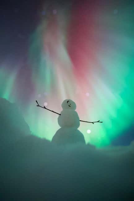 Rovaniemi: Aurora Hunting Group Tour - Guaranteed View - What to Expect from the Northern Lights Tour