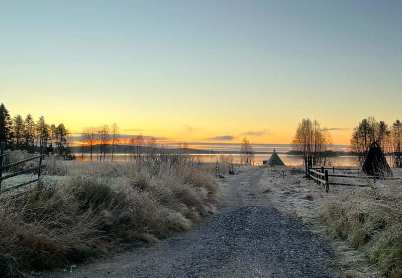 Rovaniemi: Autumn Husky Ride on Wheels - What Travelers Are Saying