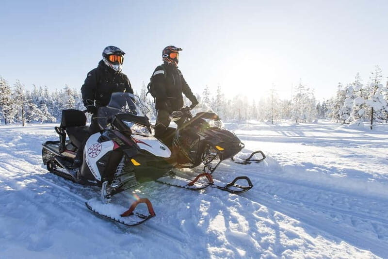 Rovaniemi: Backwoods Adventure Full Day Snowmobile Safari - What to Expect During the Tour  