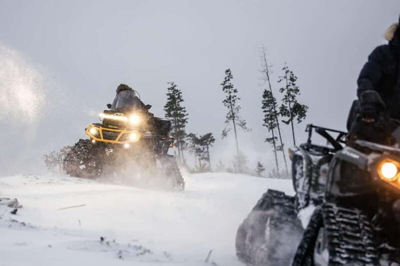 Rovaniemi Expedition "INTO THE WILD" and Glass Igloo Lunch - What to Expect: A Step-by-Step Breakdown