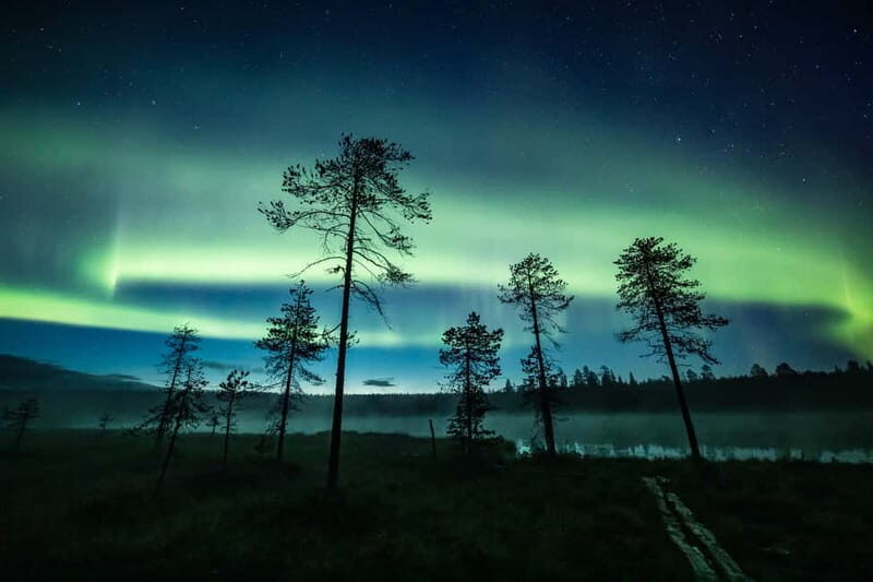 Rovaniemi: Horse Sleigh Ride under the Night Sky - The Sum Up