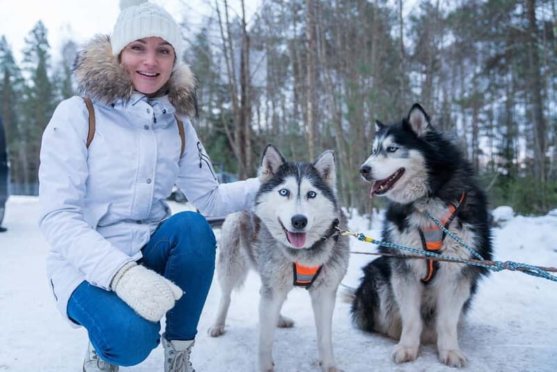 Rovaniemi: Husky Farm and Reindeer Experience - The Real Value of This Tour