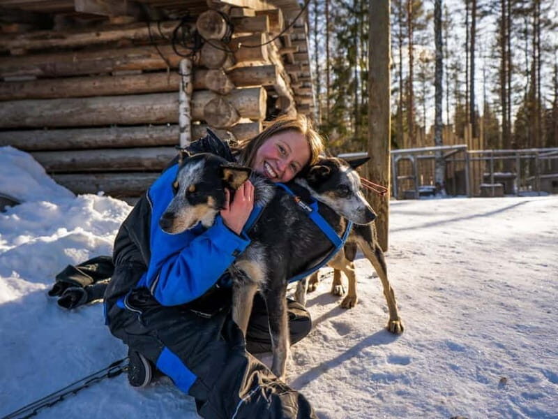Rovaniemi: Husky Safari & Campfire BBQ  610 km SelfDrive - The Experience: What to Expect from Start to Finish