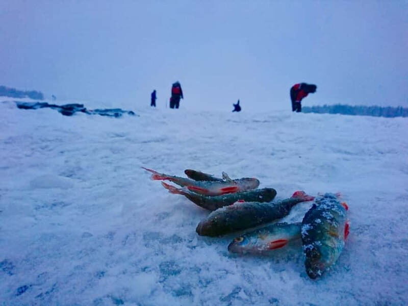 Rovaniemi: Ice Fishing by Snowmobile - What to Expect on the Tour