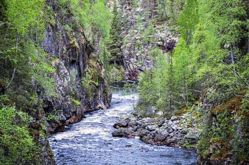 Rovaniemi: Korouoma Canyon and Auttiköngäs Falls Tour - The Value of This Tour