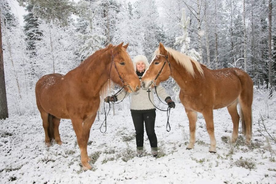 Rovaniemi: Late Night Ride with Finnhorses - Who Should Consider This Tour?