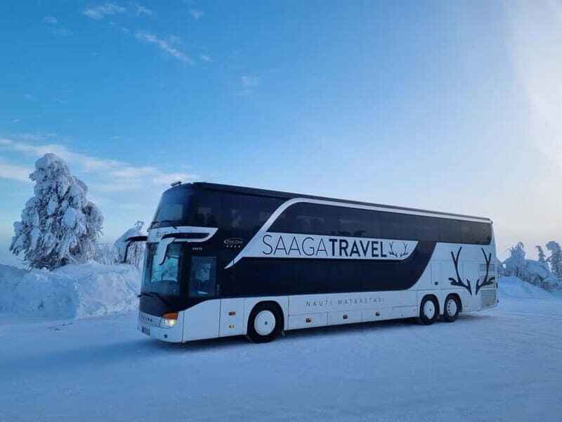 Rovaniemi: Northern Lights Bus Tour with Hot Drinks & Snacks - What’s Missing or to Consider