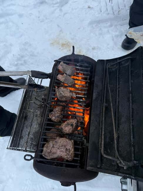 Rovaniemi: Private Snowmobile Trip in Lapland - Why This Tour Works Well