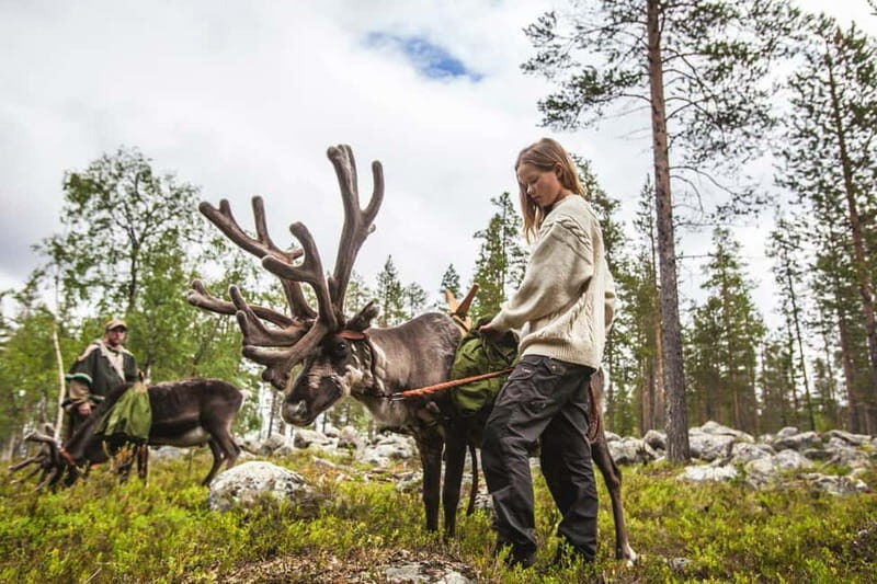 Rovaniemi: Reindeer Farm Visit at Autumn - Who Will Love This Tour?