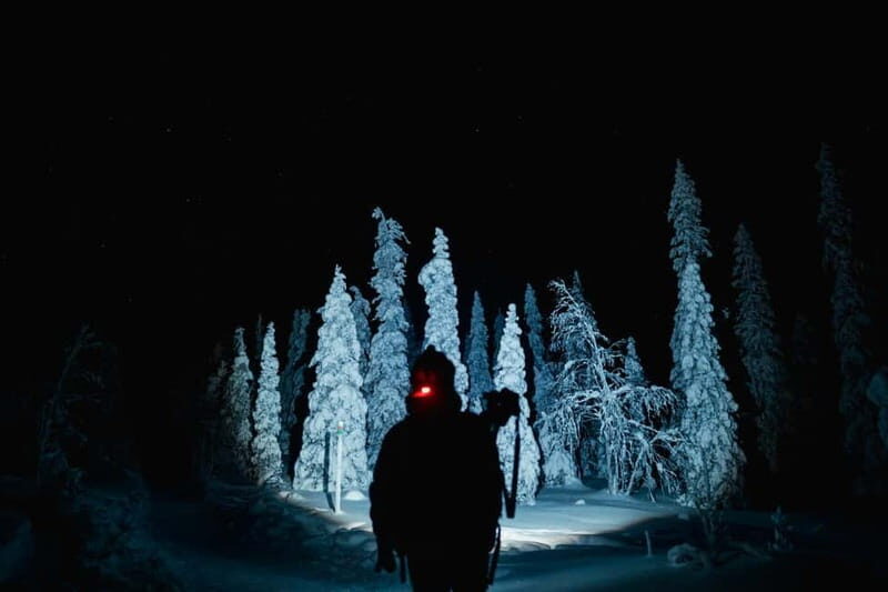 Rovaniemi: Riisitunturi National Park Night Photography Tour - The Value of This Experience