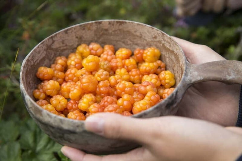 Rovaniemi: Wild Berry Picking and Juice Making - Making Berry Juice and Campfire Coffee