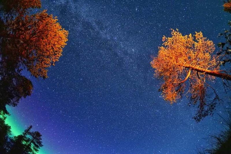 Ruka: Guided Northern Lights Hike - The Itinerary: A Walk in the Finnish Wilderness