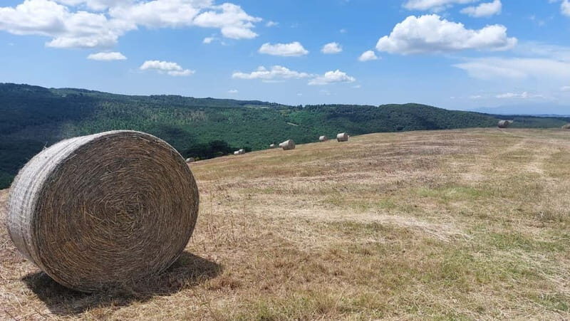 S.Miniato e-bike tour and aperitif (optional yoga at sunset) - The Experience: What Makes It Special  