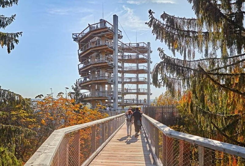 Saarland: Treetop Walk Saarschleife & Lookout Tower - Who Will Love This Experience?