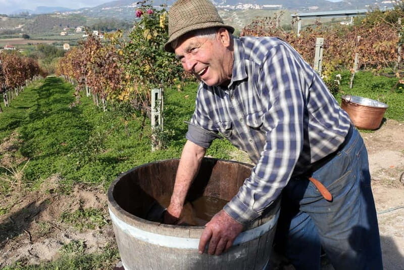 Salerno: Wine Tasting with Vineyard and Olive Grove Visit - The Breakdown of the Itinerary