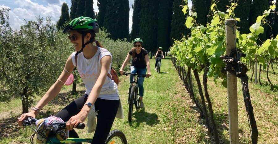 Salò: e-bike tour with wine tasting on Valtenesi Hills - The Wine and Food Tasting