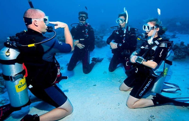 Salou: Fun Scuba Dive with Instructor (No License Needed) - What to Expect: A Step-by-Step Look