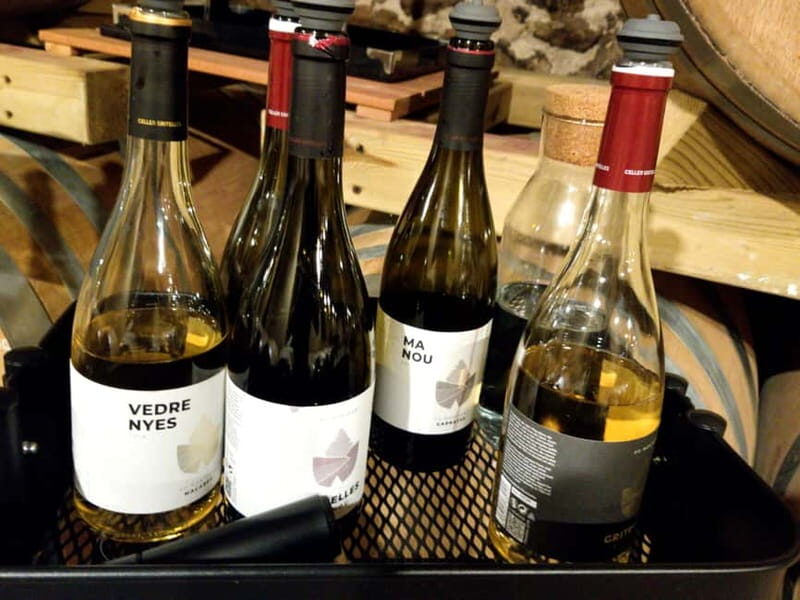 Salou: Priorat tasting Wine-Cellar Tour with hotel pickup - The Itinerary: What You Can Expect