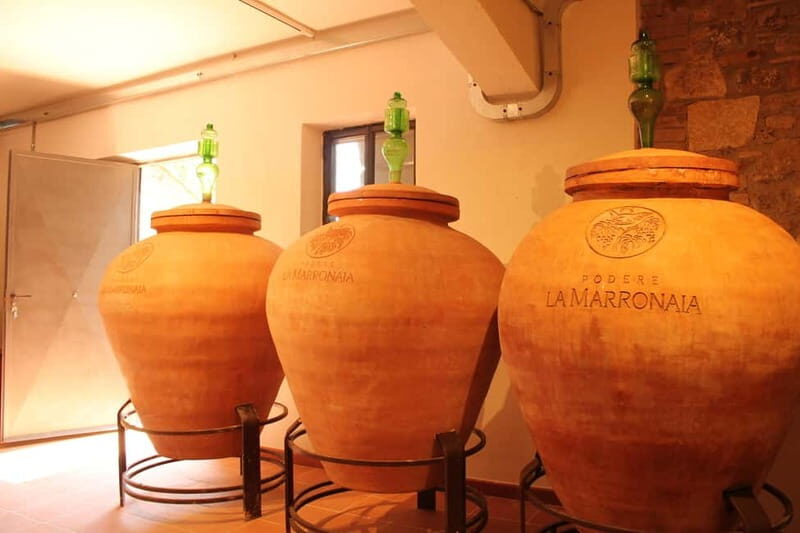 San Gimignano: Wine, Oil, Cheese & Balsamic Tasting - FAQ
