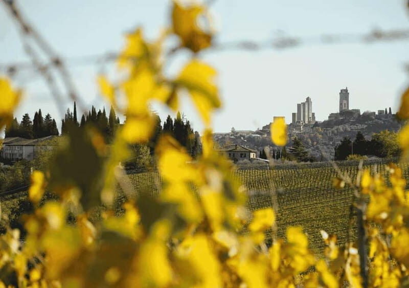 San Gimignano: Wine Tasting Experience at Il Colombaio - Why This Experience Is Worth Your Time