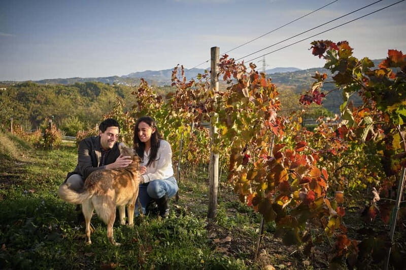 San Mango sul Calore: Wine Tasting Experience - The Sum Up
