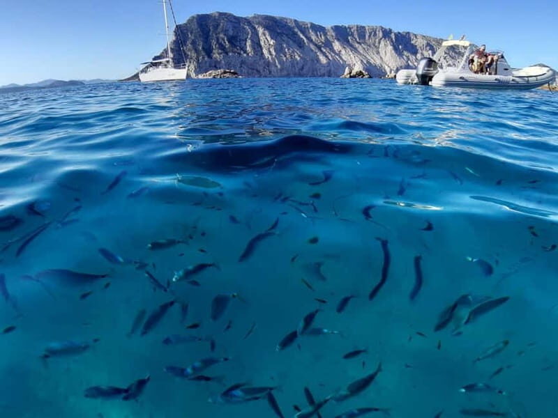 San Teodoro: Tavolara Boat Tour & Monte Nieddu 4x4 Tour - Practical Details and Value