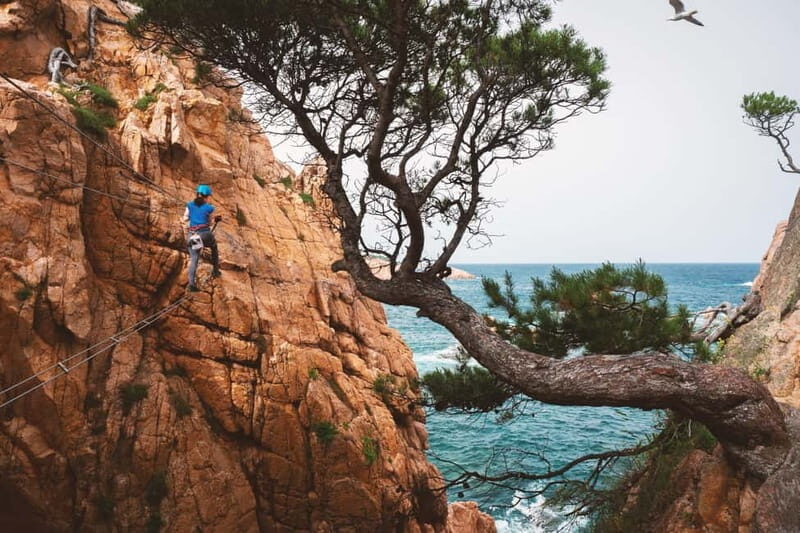 Sant Feliu de Guíxols: Guided tour of the Cala del Molí Via Ferrata - Discovering the Cala del Molí Via Ferrata