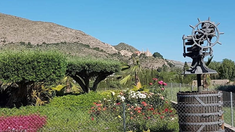 Santa Pola, Gran Alacan, Urbanova: Guided Wine Tasting Tour - An In-Depth Look at the Tour Experience