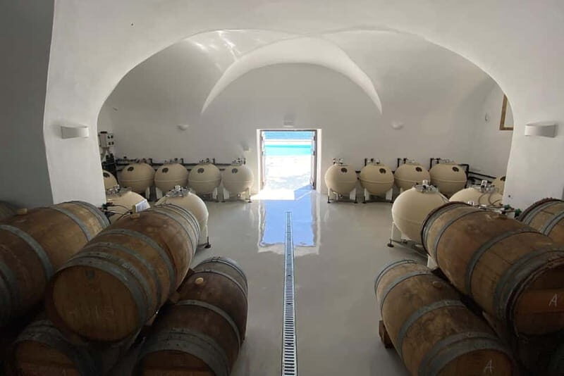 Santorini Private Wine Exprerience: 3 Wineries &Local Snacks - Analyzing the Value