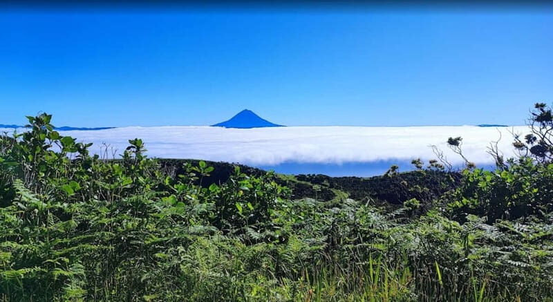 São Jorge Island Panoramic Adventure  4 Hour Tour - Final Thoughts: Is This Tour Right for You?