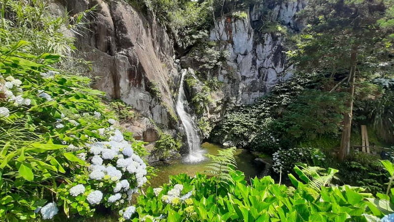 São Miguel Azores: Hike and Snorkeling with a local - The Practicalities: Transportation, Duration, and Group Size