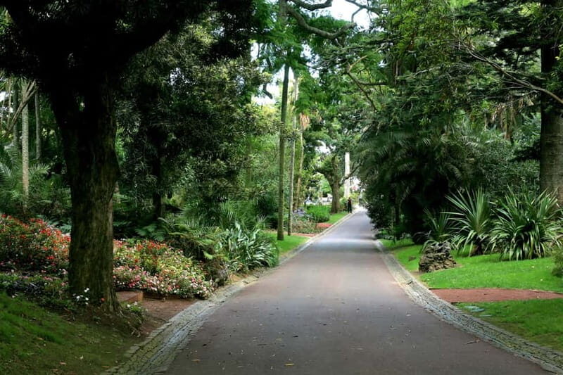 São Miguel: Botanical Gardens and Cave Tour - Who Would Enjoy This Tour?