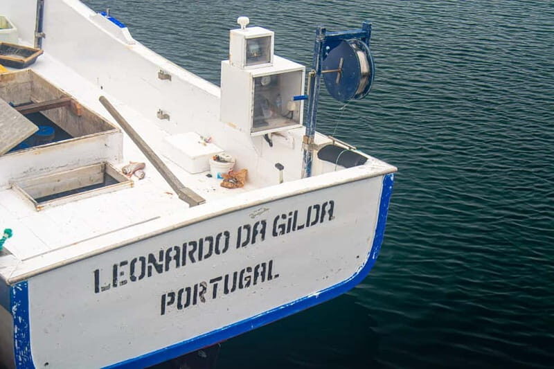 São Miguel: Coastal Scenic Boat Ride on a Traditional Boat - Authentic, Scenic, and Personal: Why This Tour Excels