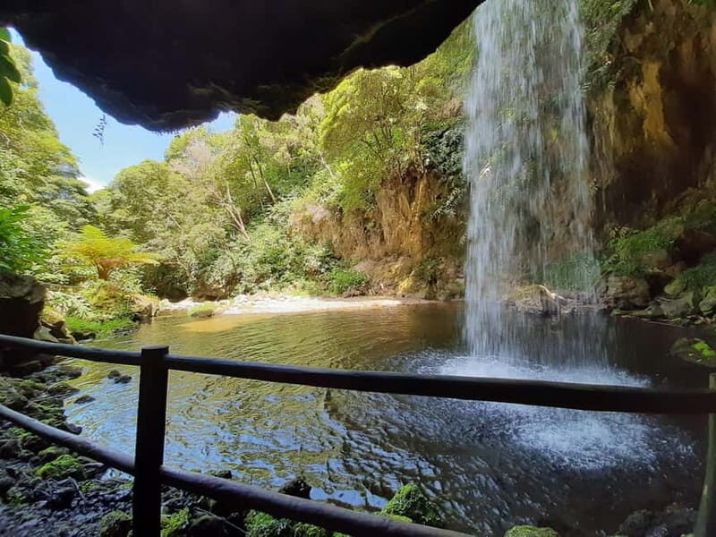 São Miguel: Moinho do Felix Hike with Tea Factory Visit - What Makes This Tour Stand Out?