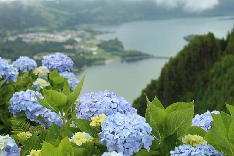 São Miguel: Sete Cidades & Pineapple Plantation Tour - Walking Along the Shores of Sete Cidades Lake