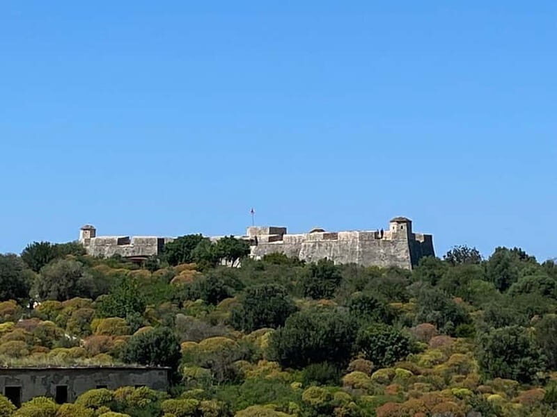 Saranda: Porto Palermo Castle & Himara Private Seaside Tour - Why This Tour Stands Out