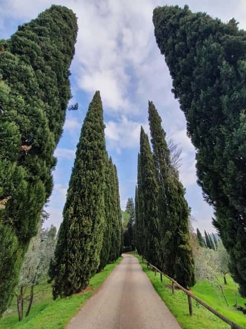Scandicci: Bellavista Wine Tasting Experience - Who Should Consider This Tour?