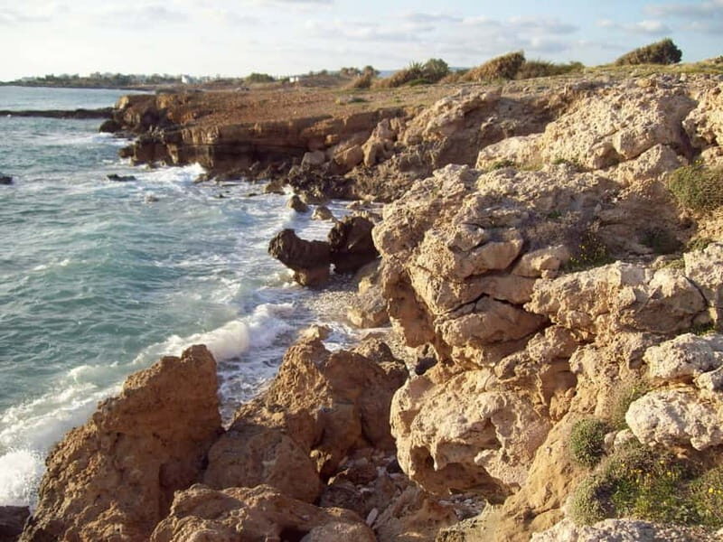 Sea Star Blue Lagoon Round Trip Cruise from Paphos - The Itinerary: What to Expect on the Day